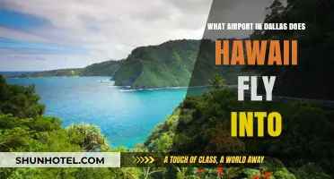 Dallas to Hawaii Flights: Which Airport Serves the Route?