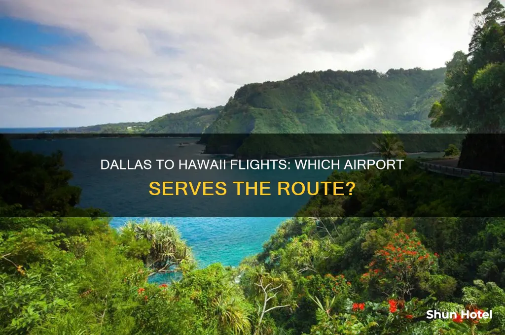 what airport in dallas does hawaii fly into