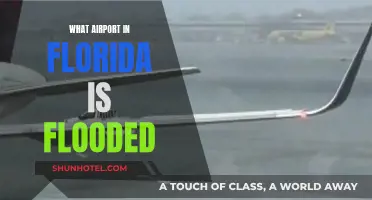 Florida's Flooded Airport: Navigating a Watery Crisis