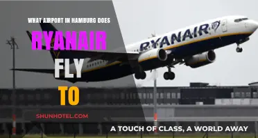 Ryanair's Hamburg Destination: Which Airport Does It Serve?