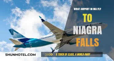 Massachusetts Airports Offering Flights to Niagara Falls: Your Travel Guide