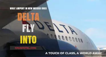 Delta's New Mexico Hub: Which Airport Does Delta Fly Into?