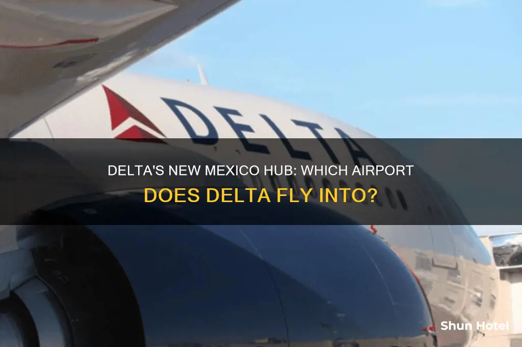 what airport in new mexico does delta fly into