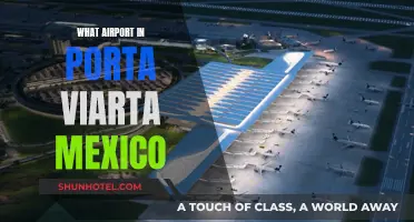 Exploring Mexico: Porta Viarta Airport Guide