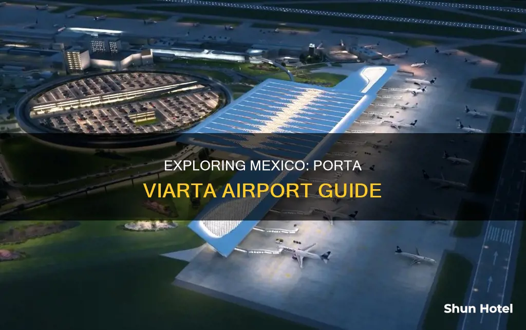 what airport in porta viarta mexico