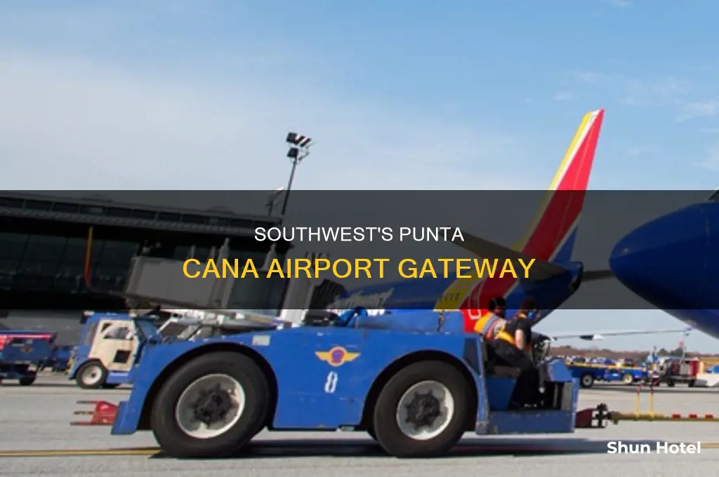 what airport in punta cana does southwest use