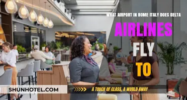 Delta Airlines Rome Destination: Which Italian Airport Does It Serve?
