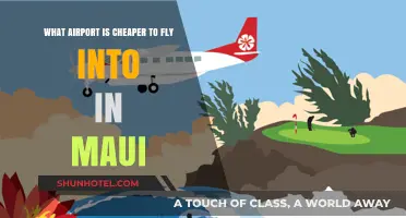 Maui Travel Savings: Which Airport Offers Cheaper Flights?