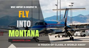 Budget-Friendly Montana Travel: Discover the Cheapest Airport to Fly Into