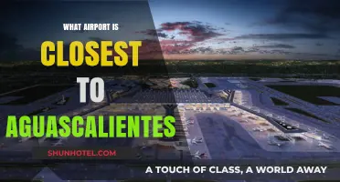 Discovering the Nearest Airport to Aguascalientes: A Traveler's Guide