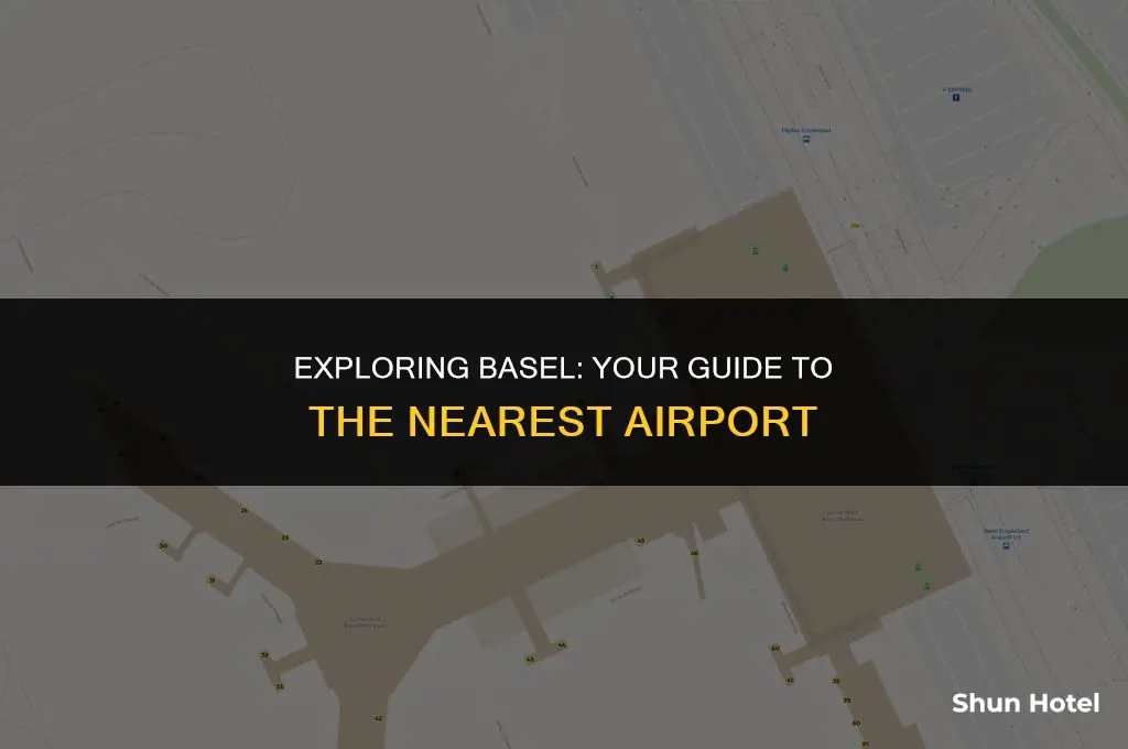 what airport is closest to basel switzerland