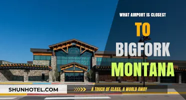 Exploring Bigfork, Montana: Your Guide to the Nearest Airport