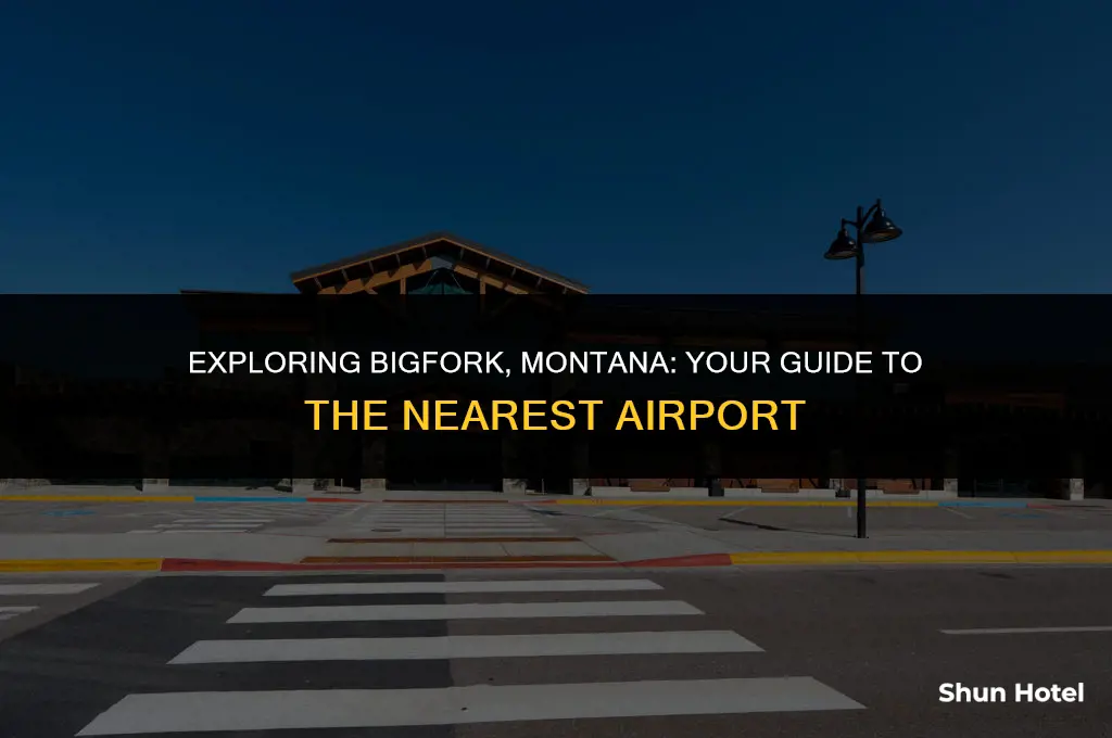 what airport is closest to bigfork montana