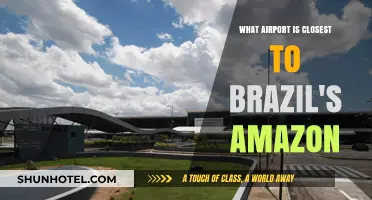 Exploring Brazil's Amazon: Which Airport Gets You Closest?