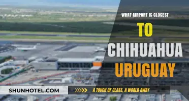 Discovering the Nearest Airport to Chihuahua, Uruguay: Your Travel Guide