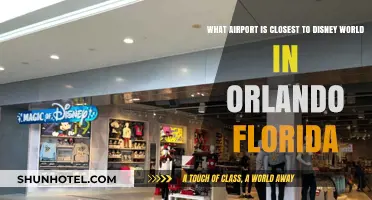 Orlando International Airport: Your Gateway to Disney World Magic