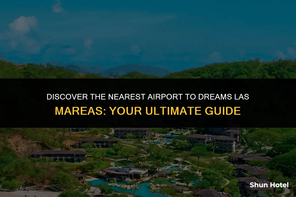 what airport is closest to dreams las mareas