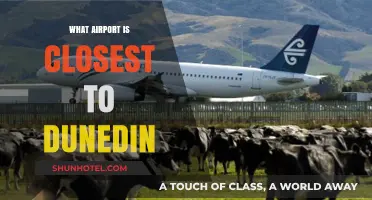 Discover Dunedin: Your Guide to the Nearest Airport