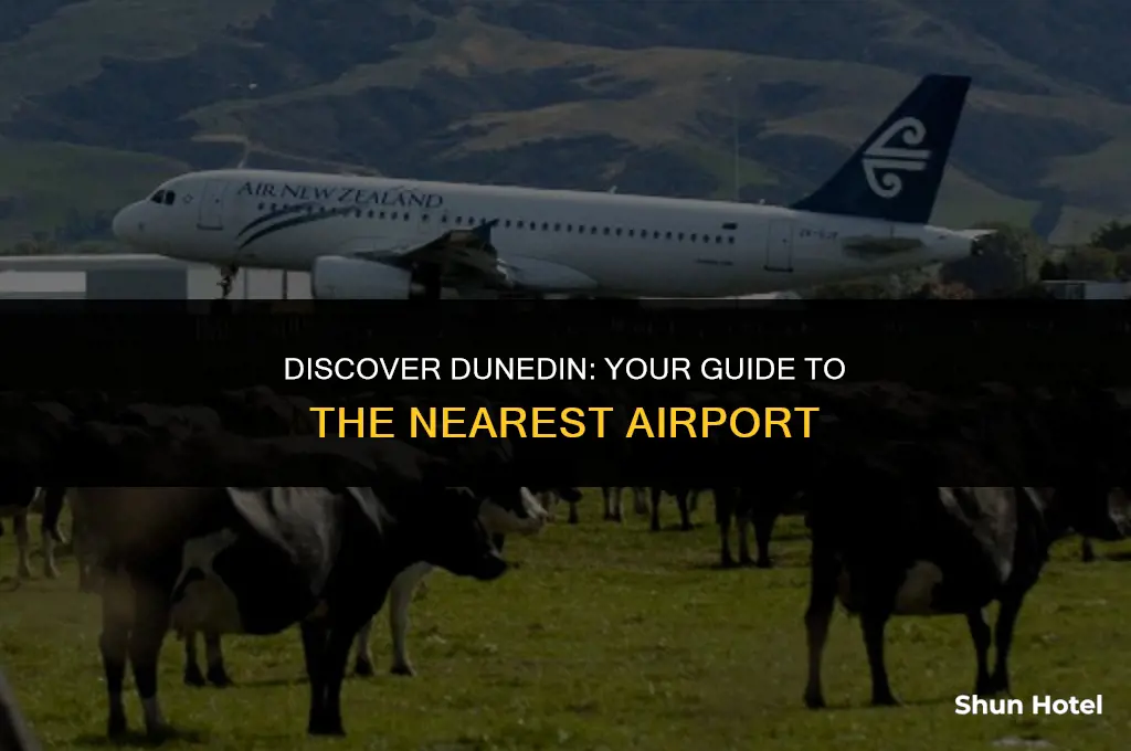 what airport is closest to dunedin
