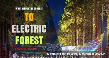 Exploring the Nearest Airport to Electric Forest Festival