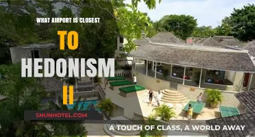 Exploring the Nearest Airport to Hedonism II: A Traveler's Guide