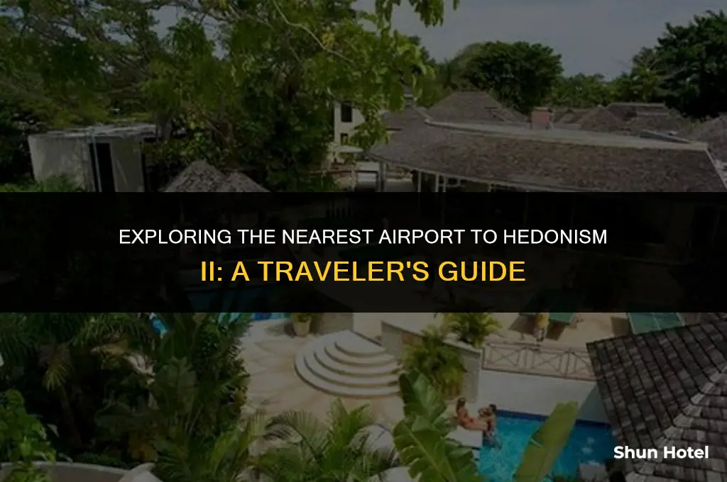 what airport is closest to hedonism ii