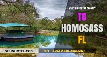 Discover the Nearest Airport to Homosassa, FL: A Traveler's Guide
