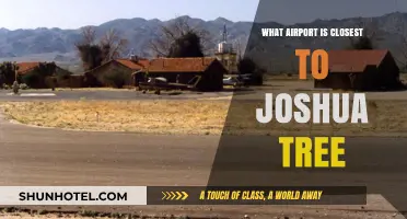Exploring the Nearest Airport to Joshua Tree National Park