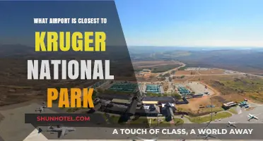 Exploring the Gateway: Which Airport is Closest to Kruger National Park?