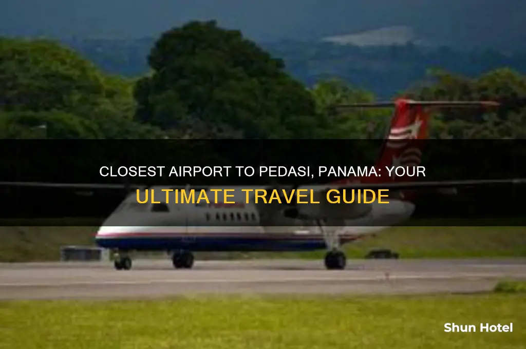 what airport is closest to pedasi panama