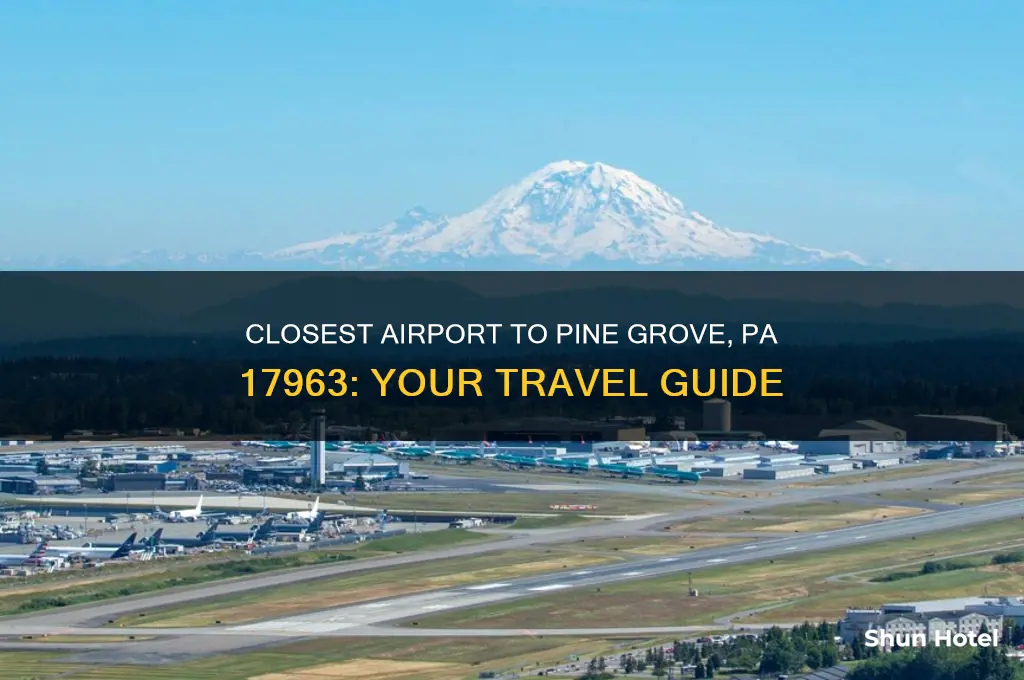 what airport is closest to pine grove pa 17963