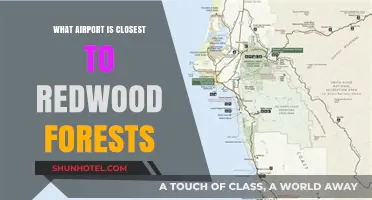 Closest Airports to Redwood Forests: Your Gateway to Nature's Giants