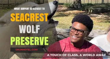 Discover the Nearest Airport to Seacrest Wolf Preserve: A Travel Guide