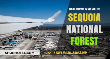 Closest Airport to Sequoia National Forest: Your Travel Guide