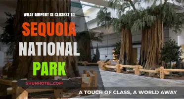 Flying to Sequoia: Your Guide to the Nearest Airports