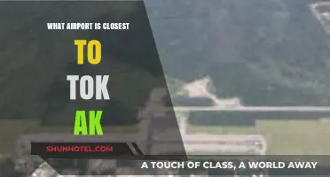 Discovering the Nearest Airport to Tok, Alaska: A Comprehensive Guide