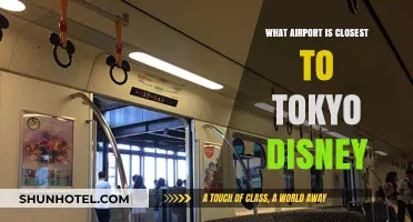 Discovering Tokyo Disney's Nearest Airport: A Visitor's Guide