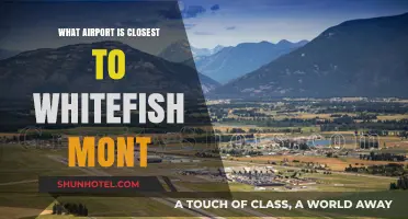 Discovering the Nearest Airport to Whitefish, Montana: A Travel Guide