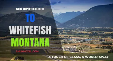 Exploring the Nearest Airport to Whitefish, Montana: A Traveler's Guide