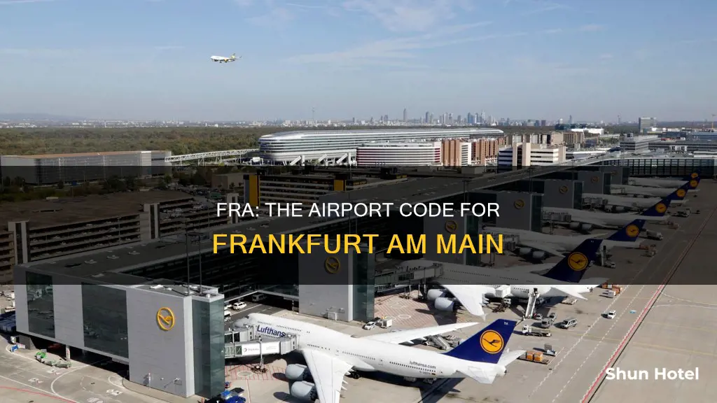 what airport is f r a