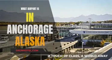 Ted Stevens Anchorage International Airport: Alaska's Aviation Hub