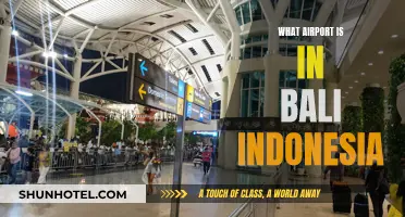 Bali's Airport: A Guide to Ngurah Rai International Airport
