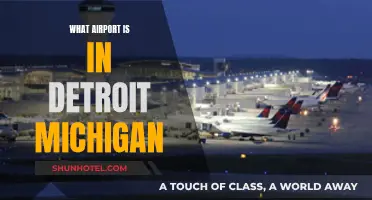 Detroit's Airport: A Guide to Michigan's Aviation Gateway