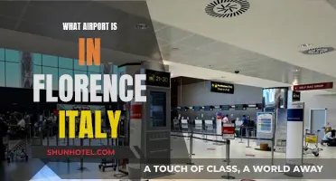Florence Airport: A Gateway to Italy's Rich History