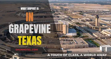 Dallas-Fort Worth Airport: Grapevine, Texas' Aviation Hub