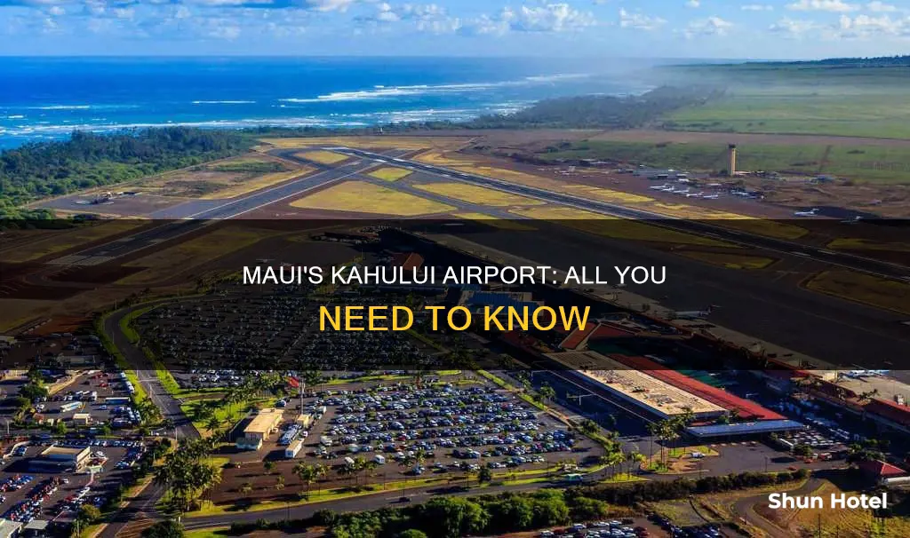 what airport is in maui hi