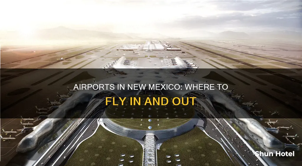 what airport is in new mexico