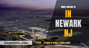 Newark, New Jersey: Airport Hub and Gateway