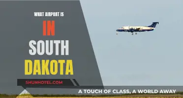 South Dakota's Air Travel: Airport Options and Accessibility