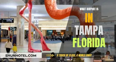 Tampa International Airport: Florida's Gateway to the Gulf